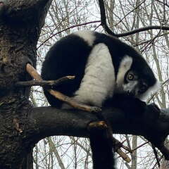 24-12-06 14-35-10 1647